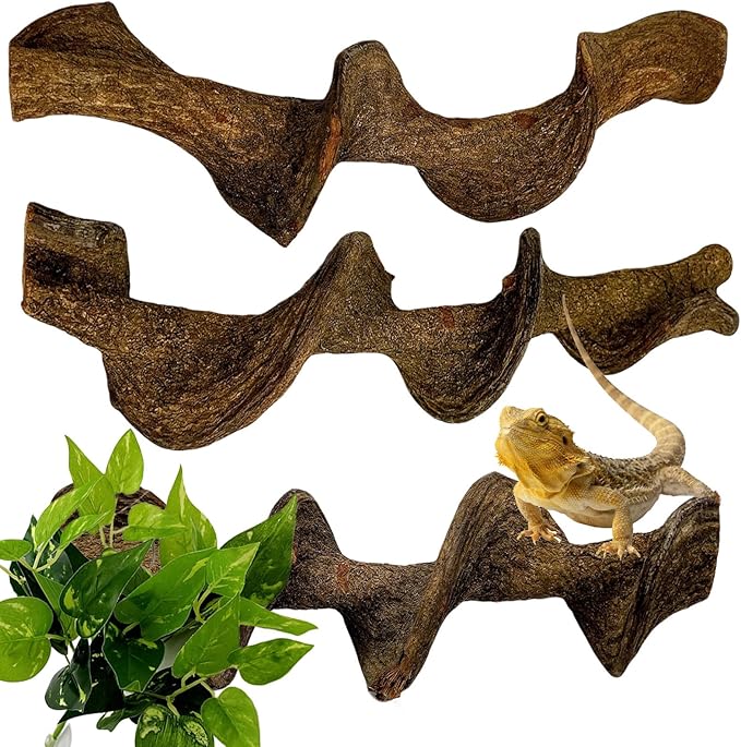 BNOSDM 3Pcs Reptile Climbing Branches Decor,Snake Climbing Branch,Gecko Climb Wood,Lizard Forest Branch,Tank Habitat Tree Trunk Decorations for Bearded Dragons,Chameleons,Spider,Frogs (L)-PawvioPets