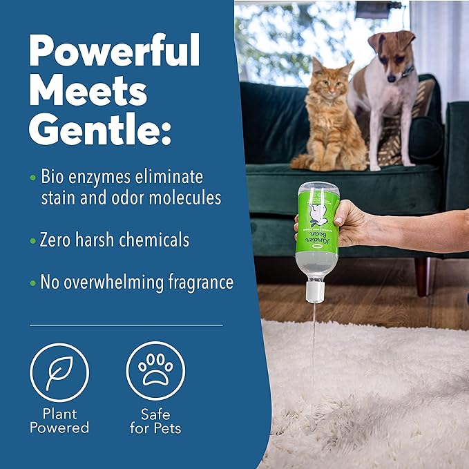 Dog & Cat Urine Stain and Odor Eliminator for Carpet, Upholstery, Hard Floors - Single 32 oz., Grapefruit & Thyme Scent, Enzyme Bio-Active Formula with Squeeze and Spray Top-PawvioPets