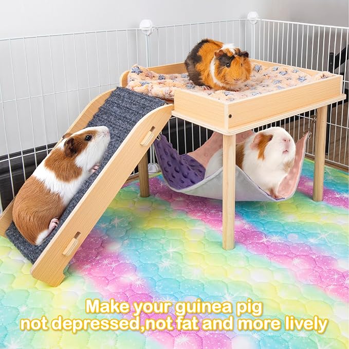 Enlarged Guinea Pig Hammock with Platform and Stairs,Wooden Small Animal Hideout for Guinea Pigs Bunny Ferret Hamster Hiding Sleeping Activities(Single)-PawvioPets