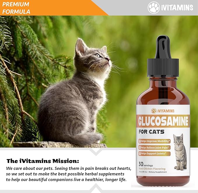Glucosamine for Cats | Cat Glucosamine | Glucosamine for Cats Liquid | Cat Joint Supplement | Joint Supplement for Cats | Cat Joint Pain Relief | Joint Support for Cats | 1 fl oz: Chicken Flavor-PawvioPets