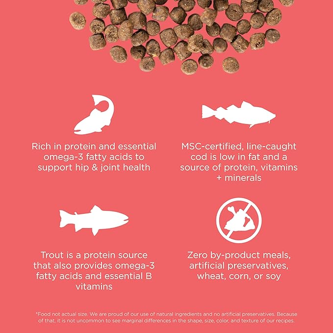 Go! Solutions Carnivore, Grain-Free, Protein Rich Dry Cat Food, Salmon and Cod Recipe, 8 lb Bag-PawvioPets