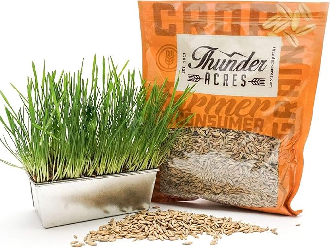 Thunder Acres Non GMO, Certified Organic, Oat Seed (2 lb.)-PawvioPets