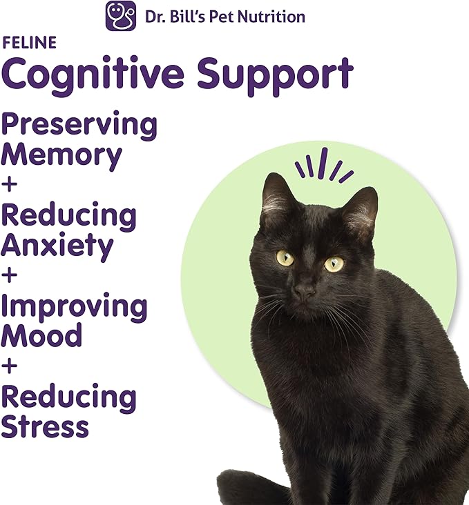 Dr. Bill's Feline Cognitive Support | Memory Support Supplement for Cats | Pet Supplement | Contains Gingko Biloba, L-Carnosine, Vitamin B-12, L-Glutamine, L-Tyrosine, and DHA-PawvioPets