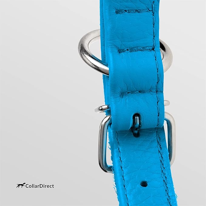 CollarDirect Rolled Leather Dog Collar, Soft Padded Round Puppy Collar, Handmade Genuine Leather Collar Dog Small Large Cat Collars 13 Colors (11-14 Inch, Light Blue Textured)-PawvioPets