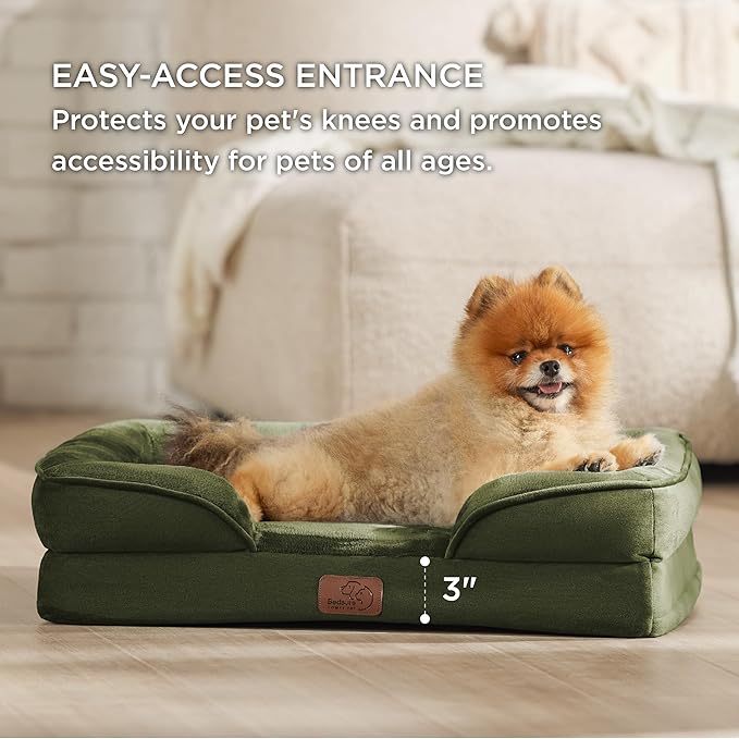 Bedsure Orthopedic Dog Beds for Small Dogs - Washable Small Dog Cat Bed Waterproof, Comfort Pet Couch Sofa with Washable Removable Cover, Pets Bed with Nonskid Bottom, Moss Green, 24"-PawvioPets