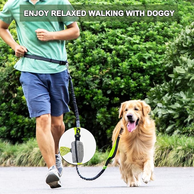 (2 Pack) Dog Poop Bag Holder for Leash,Doggie Waste Bag Dispenser Small Doggy Poop Bag Zipper Pouch with Carabiner Clip, Leash Attachment Holder for Pet Puppy Poop Bags-PawvioPets
