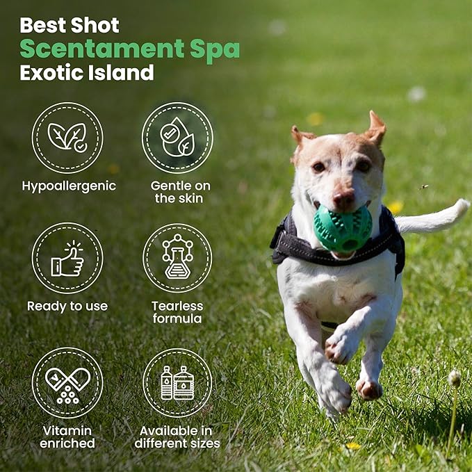 Best Shot Scentament Spa Seasonal Body and Facial Wash, Tearless Shampoo, Hypoallergenic Body Wash, Removes Tear Stains, Exotic Island, 1 Gallon-PawvioPets