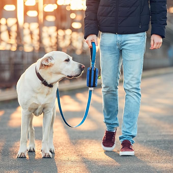 Dog Poop Bag Holder for Leashes - Dog Poop Bag Dispenser and Treat Holder with 2 Waterproof Pouches for Pet Waste Bags and Walking Accessories + 1 Free Roll - Leashrr 2.0 (Blue)-PawvioPets