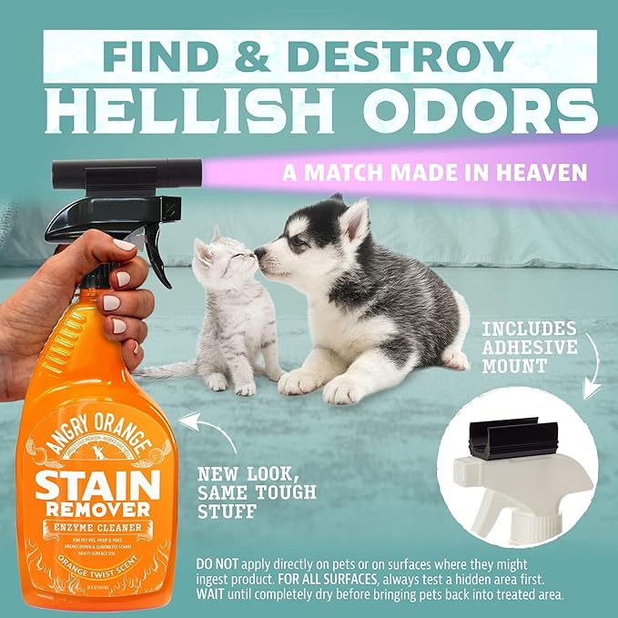 ANGRY ORANGE Pet Stain Remover Kit for Dog Urine - Enzyme Cleaner - Citrus - 32 oz + UV Flashlight-PawvioPets