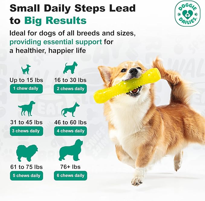 Doggie Dailies Probiotics for Dogs - Advanced Dog Probiotics with Prebiotics - Promotes Digestive Health - Supports Immune System and Overall Health (Pumpkin) 225 Soft Chews-PawvioPets