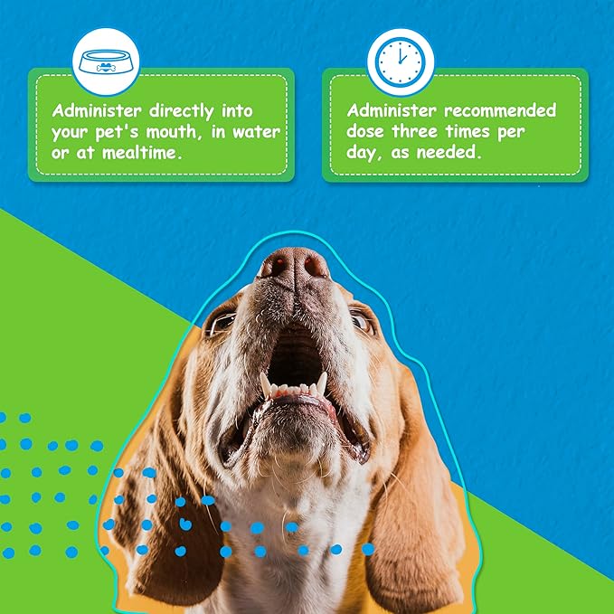 Digestive Care for Dogs, Natural Constipation Relief for Dogs and Puppies & Support for Diarrhea, Bloating, Bad Breath, Vomiting, Lack of Appetite, 60 Milliliters-PawvioPets