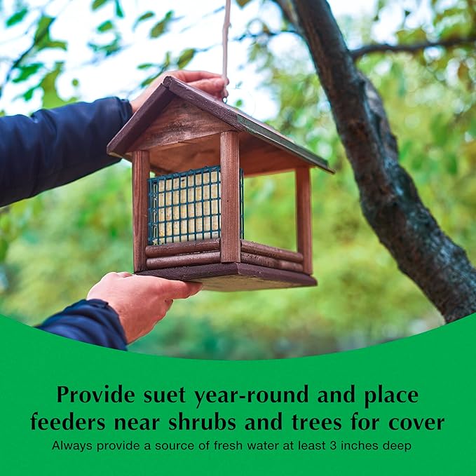 C&S Sunflower Suet Nuggets, Suet Nuggets for Wild Birds, 27 Ounces-PawvioPets