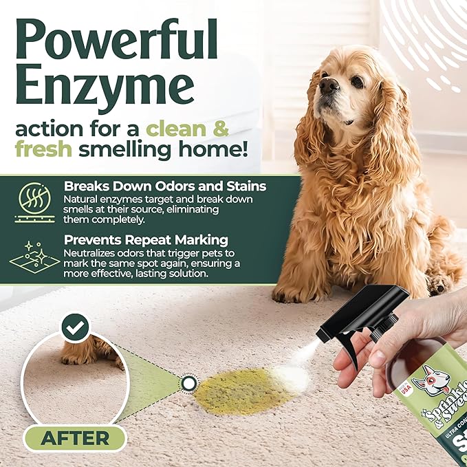 Enzyme Cleaner for Cat Urine | Cat Pee Odor Eliminator & Stain Remover | Dog Urine Carpet Spray | Multi-Surface Cat Urine Destroyer | Pet Odor Neutralizer (24oz)-PawvioPets