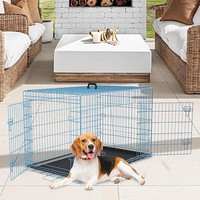 FDW Dog Crate for Medium Dogs 36 Inch Folding Metal WirePet Cage Double Door W/Divider Panel Indoor Outdoor Kennel Leak-Proof Plastic Tray,Blue-PawvioPets