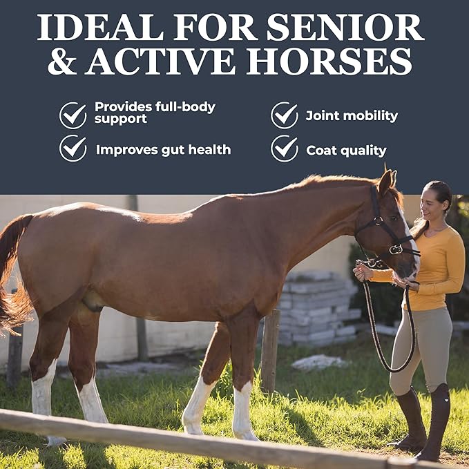 Equerry's Combined RX 4 Way | Equine Nutritional Support | Complete Formula | Digestive and Joint Support | Hoof & Hair | Probiotics Vitamins & Minerals 160 Feedings, 20lb.-PawvioPets