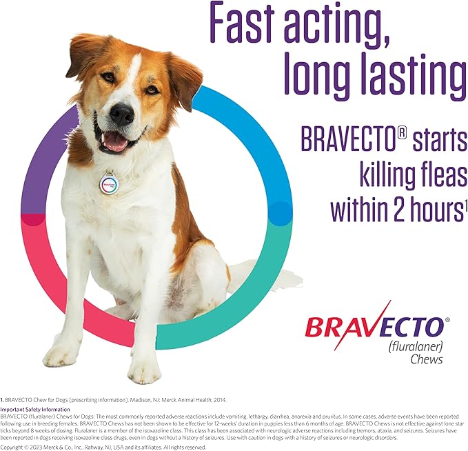 BRAVECTO Chew for Dogs, Flea & Tick, 1 Chew, 12 Week Supply, 22-44 lbs., Green Box-PawvioPets