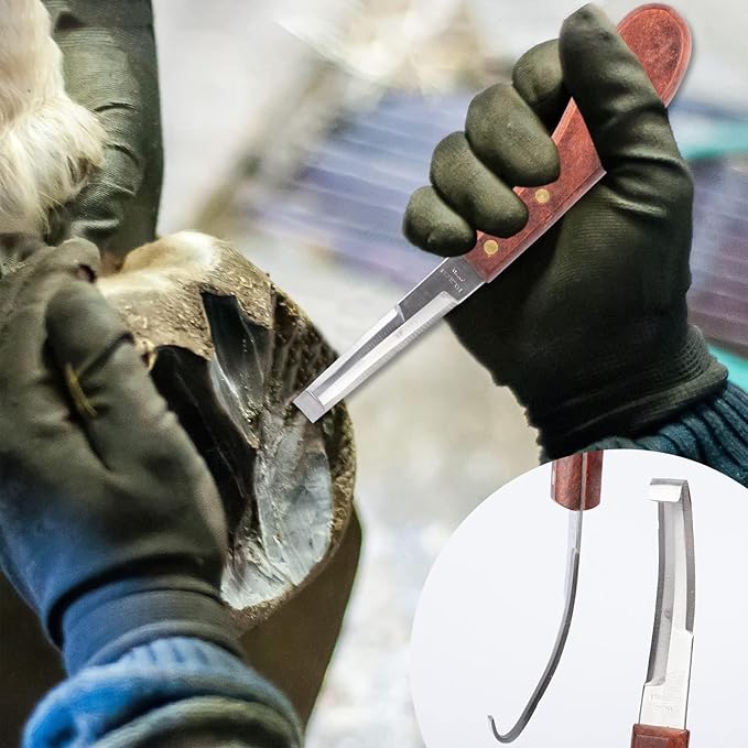 1112 Temp 11pcs Farrier Tools Farrier kit Horse shoeing Tools Farrier Supplies Farrier Tools for Horses Cattle Sheep and Donkeys-PawvioPets