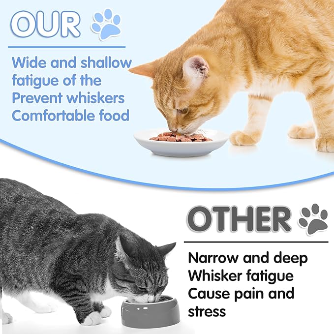 6 Pack Cat Food Bowl, Ceramic Cat Bowls, Anti Whisker Fatigue Cats Bowl,5.5 Inches Shallow Wide Kitten Plates for Food and Water (White)-PawvioPets