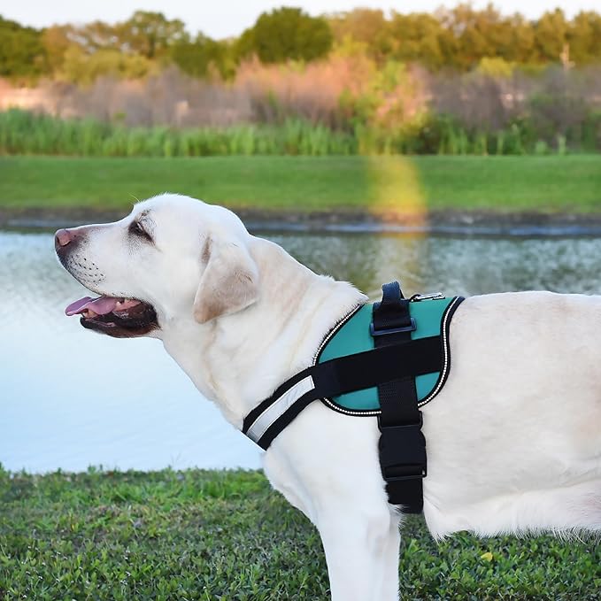 Dogline Dog Harness, Reflective No-Pull Adjustable Vest with Handle for Walking, Training, Breathable, No - Choke Harness for Small, Medium or Large Dogs Room for Patches Girth 22"-28" in Turquoise-PawvioPets