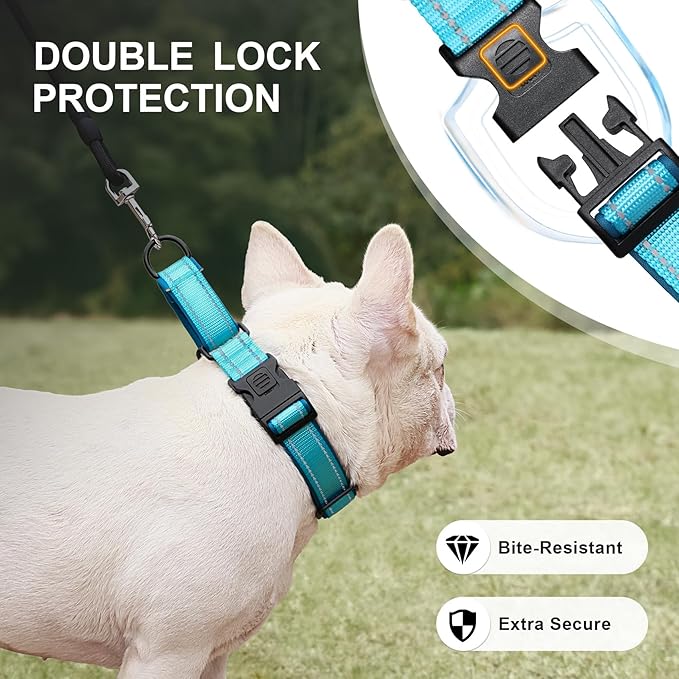 Airtag Dog Collar with Martingale Design, IP68 Waterproof Air Tag Collar Holder, Adjustable Reflective Soft Padded Nylon Dog Collar for Large Medium Small Dogs-PawvioPets