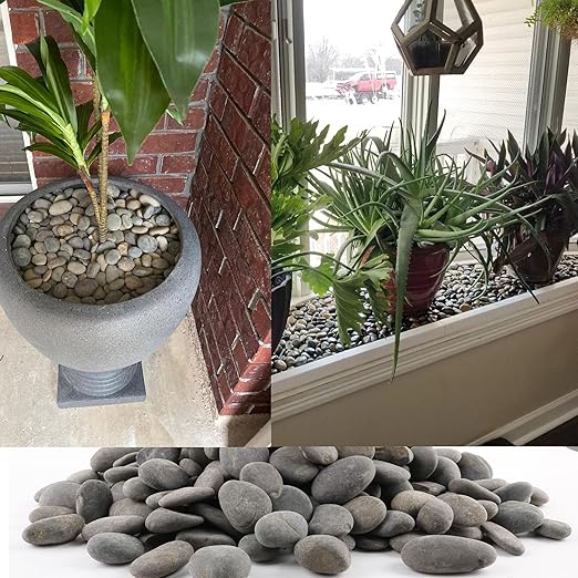 18 Pounds Natural River Rocks Mexican Beach Pebbles for Garden Landscape Stone Paving Stone Grey (1Inch)-PawvioPets