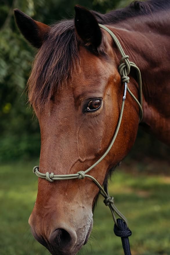 Double Braid Polyester Yacht Horse Lead Rope with Loop 12ft. or 14ft. Lengths (Beige, 14 ft. No Snap)-PawvioPets