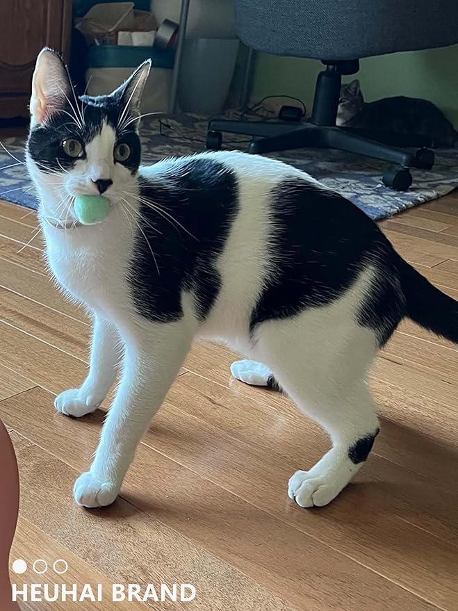 80-Pack Cat Toy Balls 10 Assorted Colors 1.25 Inch Diameter Suitable for All Cat Sizes (Cat Toys Value Pack)-PawvioPets