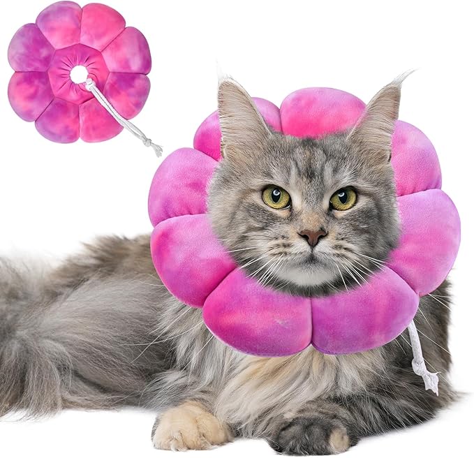 Dog Cat Surgical Recovery Cone, Pet Protective Collar, Soft Neck Cone to Stop Licking Wound for Cats & Kittens, Small Dogs After Surgery-PawvioPets