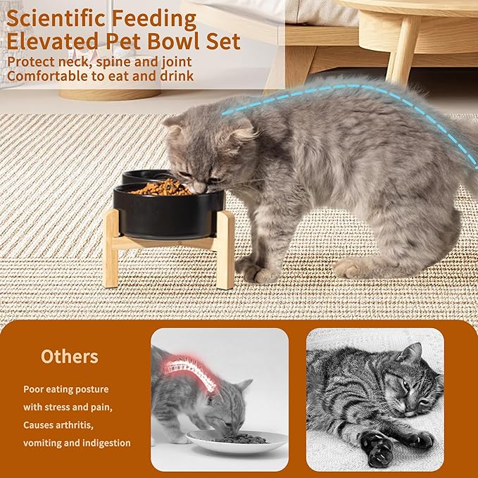 Elevated Ceramic Dog Bowl Set - Raised Feeding Bowls with Non-Slip Bamboo Stand - Small Pet Dishes for Food and Water - Ideal for Cats and Puppies - 16.23 OZ - 2 Cups - 480 ML-PawvioPets