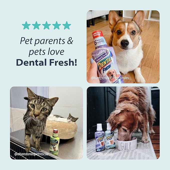 Dental Fresh Water Additive for Dogs, Original Formula, 17oz – Dog Breath Freshener and Teeth Cleaning for Dental Care– Add to Water-PawvioPets