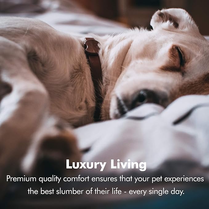 Friends Forever Small Dog Bed, Orthopedic Sofa Memory Foam Mattress, Calming Couch, Wall Rim Pillow, Water Resistant Liner, Washable Cover, Non-Slip Bottom, Chester, Small Khaki Beige-PawvioPets