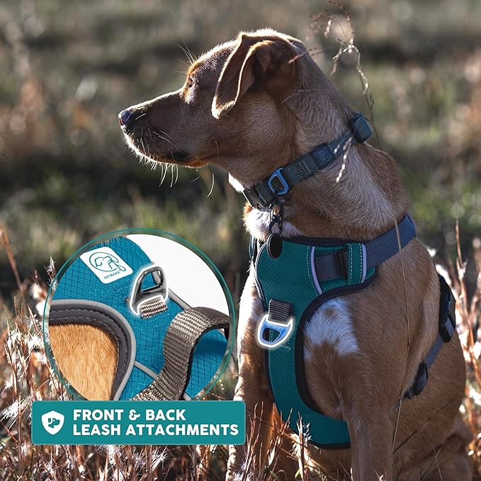 Embark Adventure Dog Harness, Reflective Trim No Pull Dog Harness Medium Sized Dogs - Military Grade Nylon, Front Clip with Gel Lined Handle.-PawvioPets