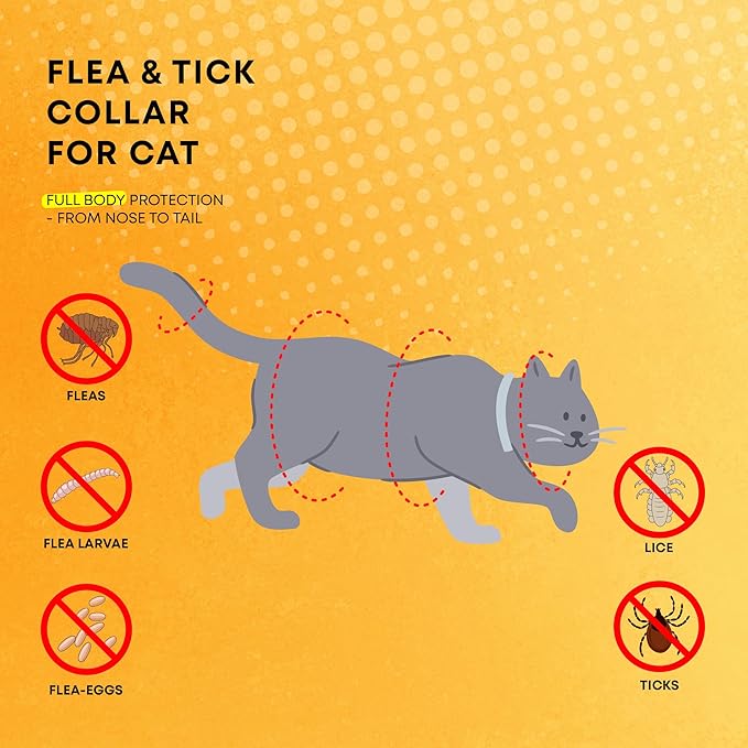 Flea and Tick Prevention Collars for Cats: Effective Pet Flea & Tick Treatment for Cats - Waterproof Adjustable Flea Tick Collars for Large & Small Cat, Outdoor Fleas Ticks Control for Kittens 4 Pack-PawvioPets