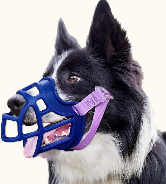Dog Muzzle, OKKIC Basket Muzzle Anti Biting Chewing, Sturdy Lightweight Muzzle Allows Panting Drinking,Muzzle for Small Medium Large Dogs, Suitable for Grooming Trimming Training (Blue, Size3)-PawvioPets