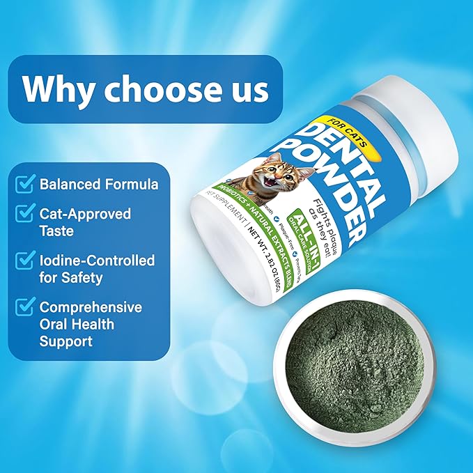 Cat Dental Care Powder Bad Breath Treatment for Cats Teeth, Mouth, Gums & Gut, Plaque Off,Tartar Control, Help Feline Gingivitis and Stomatitis, with Natural Extracts & Probiotics-PawvioPets