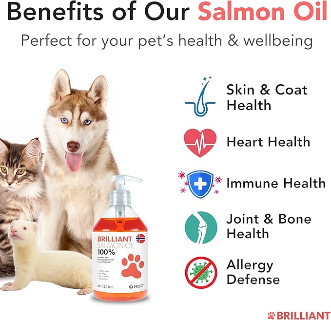 Brilliant Omega 3 Salmon Oil for Dogs & Cats - Norwegian Fish Oil Supplement with EPA & DHA Fatty Acids for Shedding, Allergy, Itching, Dry Skin & Joint Health - Skin and Coat Fish Oil Liquid, 40 Oz-PawvioPets