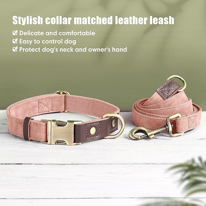Didog Soft PU Leather Dog Collars for Small Dogs,Classic Adjustable Dog Collars with Quick Release Metal Buckle,Easy Clean and Comfortable with Nylon Lining,Pink,S Neck 10-15"-PawvioPets