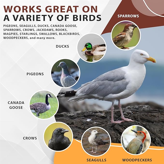 Bird Repellent Spray Bundle, Ready to Use Bird Spray 32oz + Concentrate 4oz Refill-PawvioPets