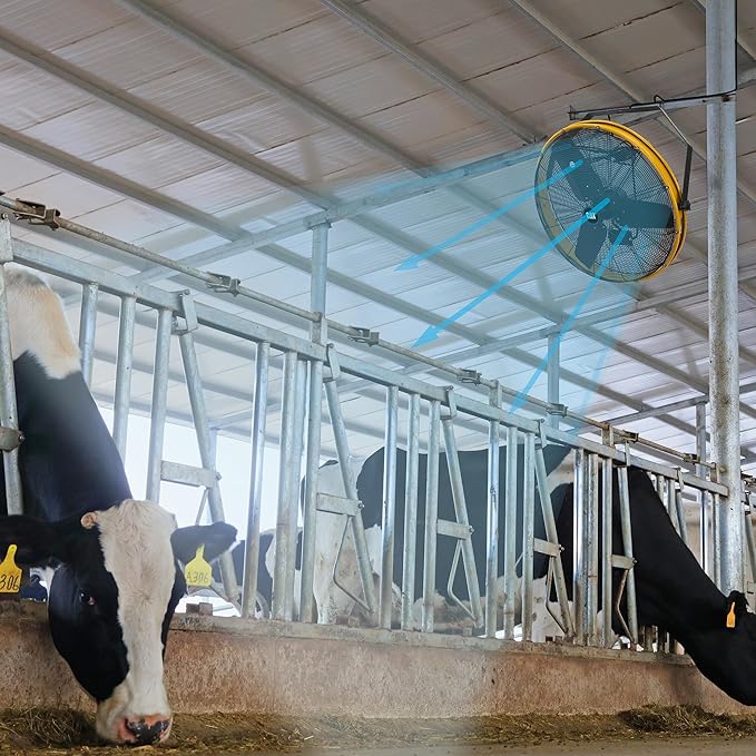 CAT 30 Inch Outdoor IPX4 Weatherproof High Velocity Wall Mounted Shroud Fan. 8900 CFM, 3 Speed - For Industrial, Commercial, & Residential Use. cETL Certified-PawvioPets