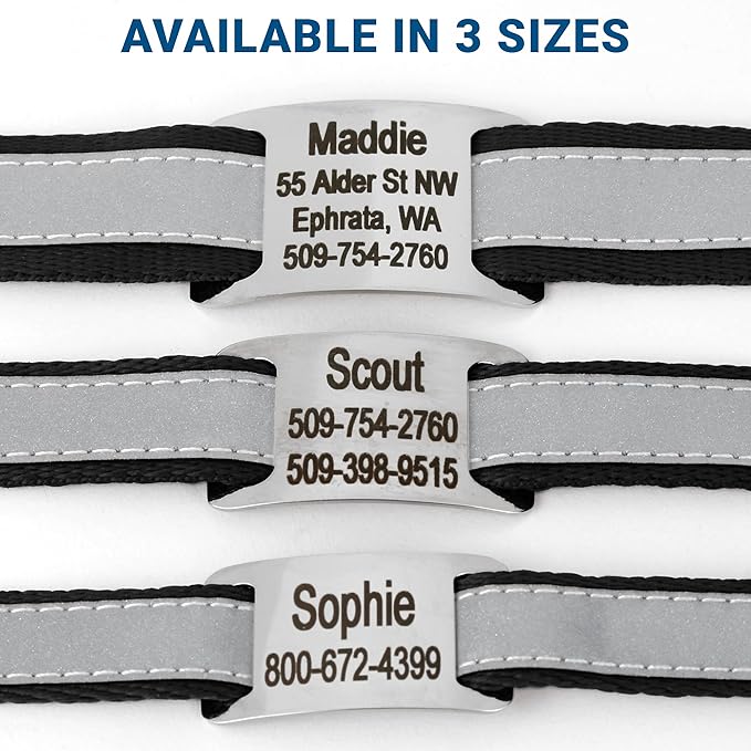 GoTags Reflective Personalized Dog Collar with Nameplate, Adjustable Dog Collar with Custom Engraved Steel Slide On Pet ID Tag, Silent, No Noise Dog Tag for Large Medium or Small (Black, Small)-PawvioPets