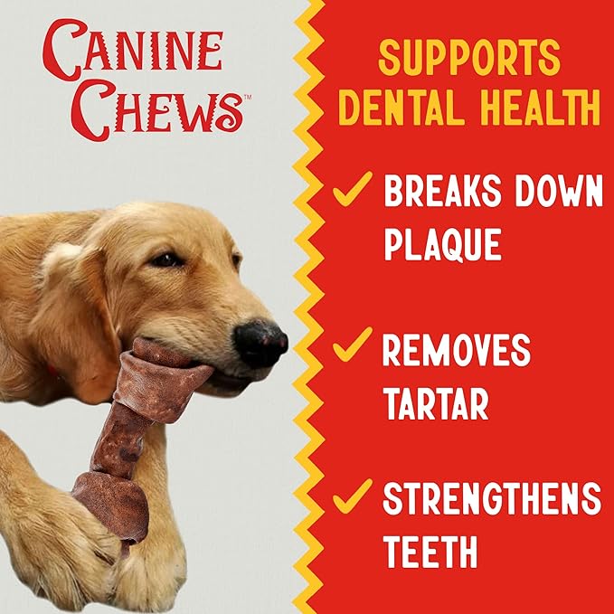 Canine Chews 8-9 Inch Beef Basted Knotted Rawhide Bones for Large Dogs - Durable Rawhide Bones for Medium and Large Dogs - Long Lasting Dog Rawhide Bones with for Aggressive Chewers - 10 Pack-PawvioPets