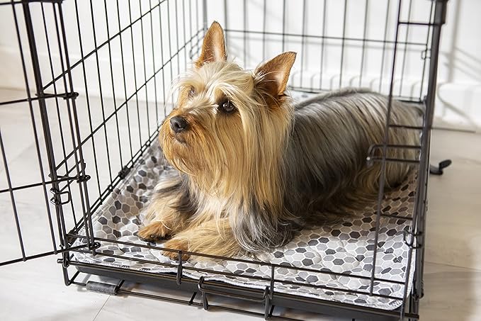 Caldwell's Pet Supply Co. 18x24 Potty Pads, Washable Pee Pads for Dogs, Reusable Pee Pad for Dogs, Puppy Potty Mat, Whelping Rug, Reusable Puppy Mat, Small (Set of 4)-PawvioPets