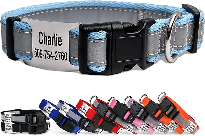 GoTags Reflective Personalized Dog Collar with Nameplate, Adjustable Dog Collar with Custom Engraved Steel Slide On Pet ID Tag, Silent, No Noise Dog Tag for Large Medium or Small (Light Blue, Small)-PawvioPets
