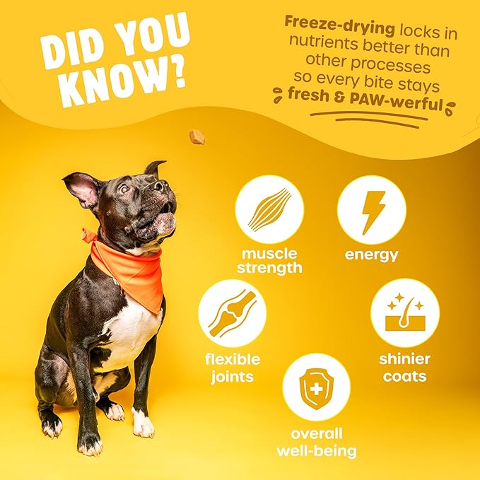 Freeze Dried Dog Treats - Wild Caught Salmon - Dog Food Dry Snacks - with Protein & Omega 3s - for All Breeds & Sizes - No Artificial Flavors & Dyes, No Preservatives - 1 Pouch, 4 oz-PawvioPets