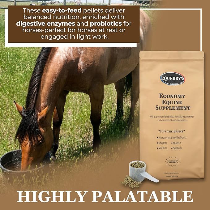 Equerry's Economy Equine Supplement - Horse Probiotics | Supplement for Horses | Horse Vitamins and Minerals Supplement with Enzymes and Selenium,20lb-PawvioPets