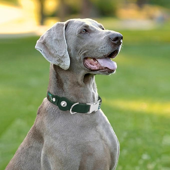 AirTag Dog Collar for Small Medium Large Breed - Adjustable Cute Pattern Dog Collar with Airtag Holder - Soft Leather Tracker GPS Apple Air Tag Pet Collars (Medium, 14"-18" Neck Fit, Mushroom)-PawvioPets