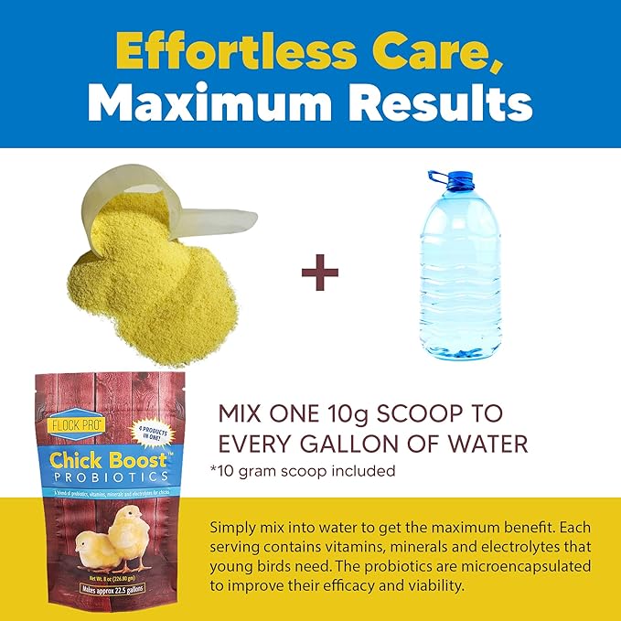 Equerry's Flock PRO Chick Boost Probiotic - Probiotics, Vitamins, Minerals and Electrolytes for Chickens | Chicken Vitamins and Supplements for All Poultry - 8oz-PawvioPets