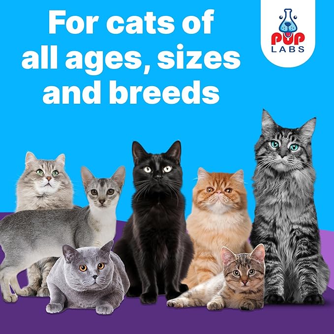 Freedom Joint Drops for Cats with Hyaluronic Acid, MSM, Glucosamine, & Chondroitin, All Natural Cat Joint Supplement for Mobility, Powerful Glucosamine for Cats, Cat Pain Relief, 30ml Dropper-PawvioPets