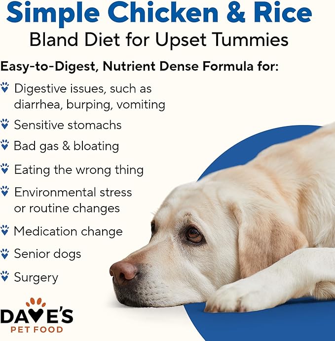 Dave's Dog Food Bland Diet Dog Food for Sick Dogs with Upset Stomach (Chicken & Rice), Economy Size for Large Pups or Big Eaters, Sensitive Stomach, 22 oz (Case of 12)-PawvioPets