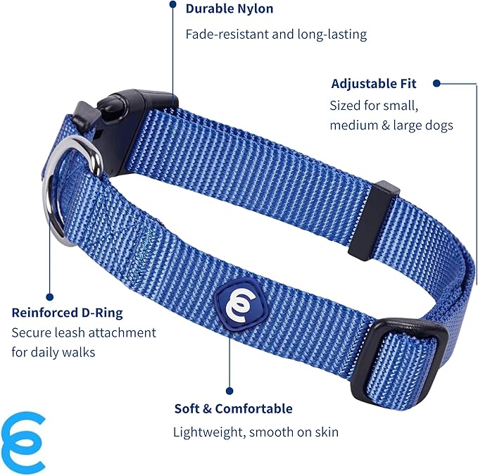 Blueberry Pet Essentials Medium Dog Collar in Marina Blue | Adjustable & Eco-Friendly Durable Nylon Strap | Classic Collar for Medium Dogs, Boy & Girl Pets-PawvioPets